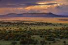 Serengeti Sunset