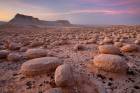 Bulbus Rocks Field