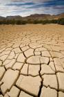Dry Land