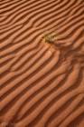 Sand Ripples