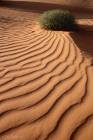 Desert Scenery