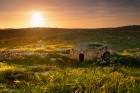 Ruins of deserted settlement