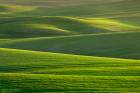 Landscape047