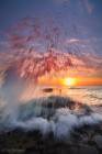 The Wave