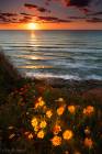Sunsets of Mediterranean Series