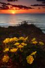 Sunsets of Mediterranean Series