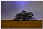 Landsc_134