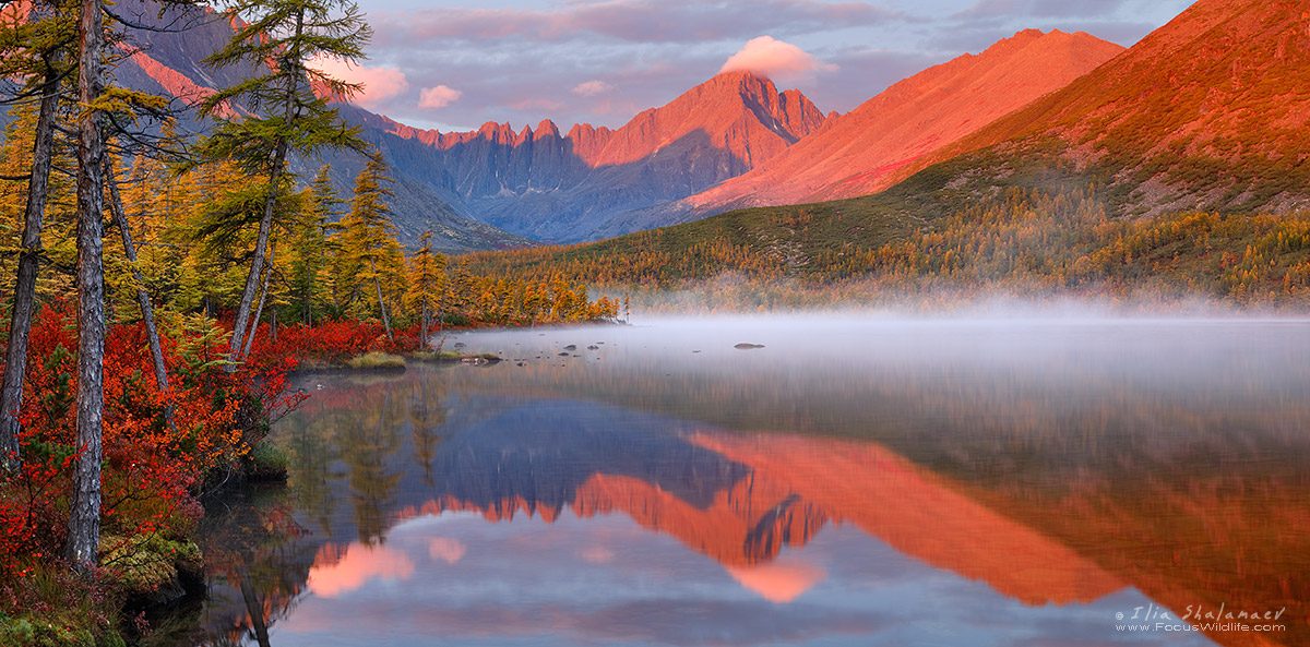 Insane Colors of Siberian Fall