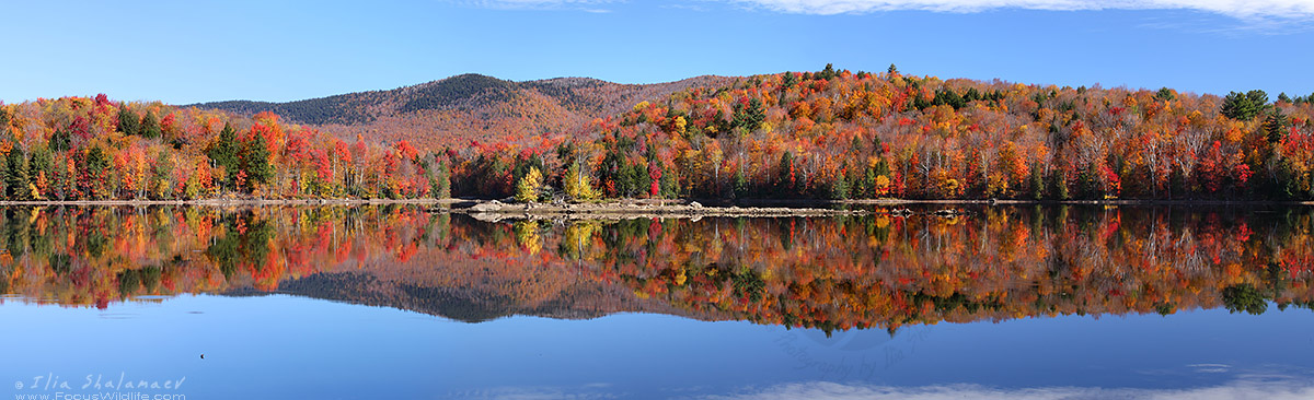 Autumn Panorama