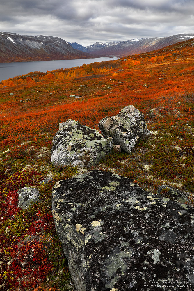 Norway Fall Scene