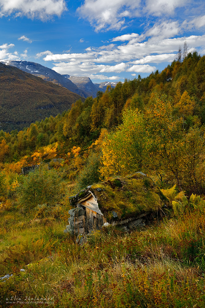 Norway Fall