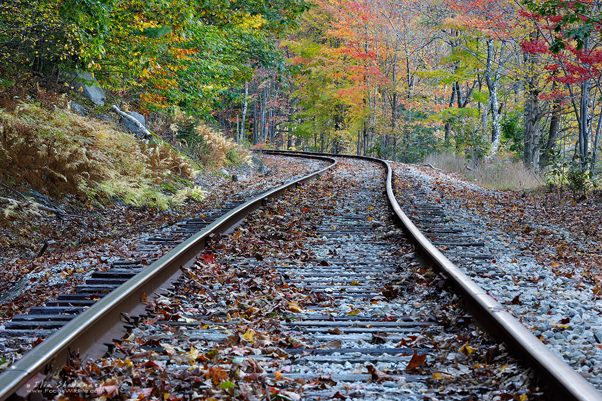 Adirondack Railroad