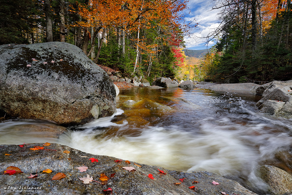 Cascade Brook