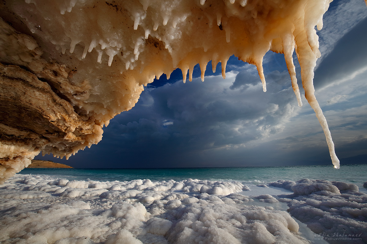 Dead Sea Winterscape