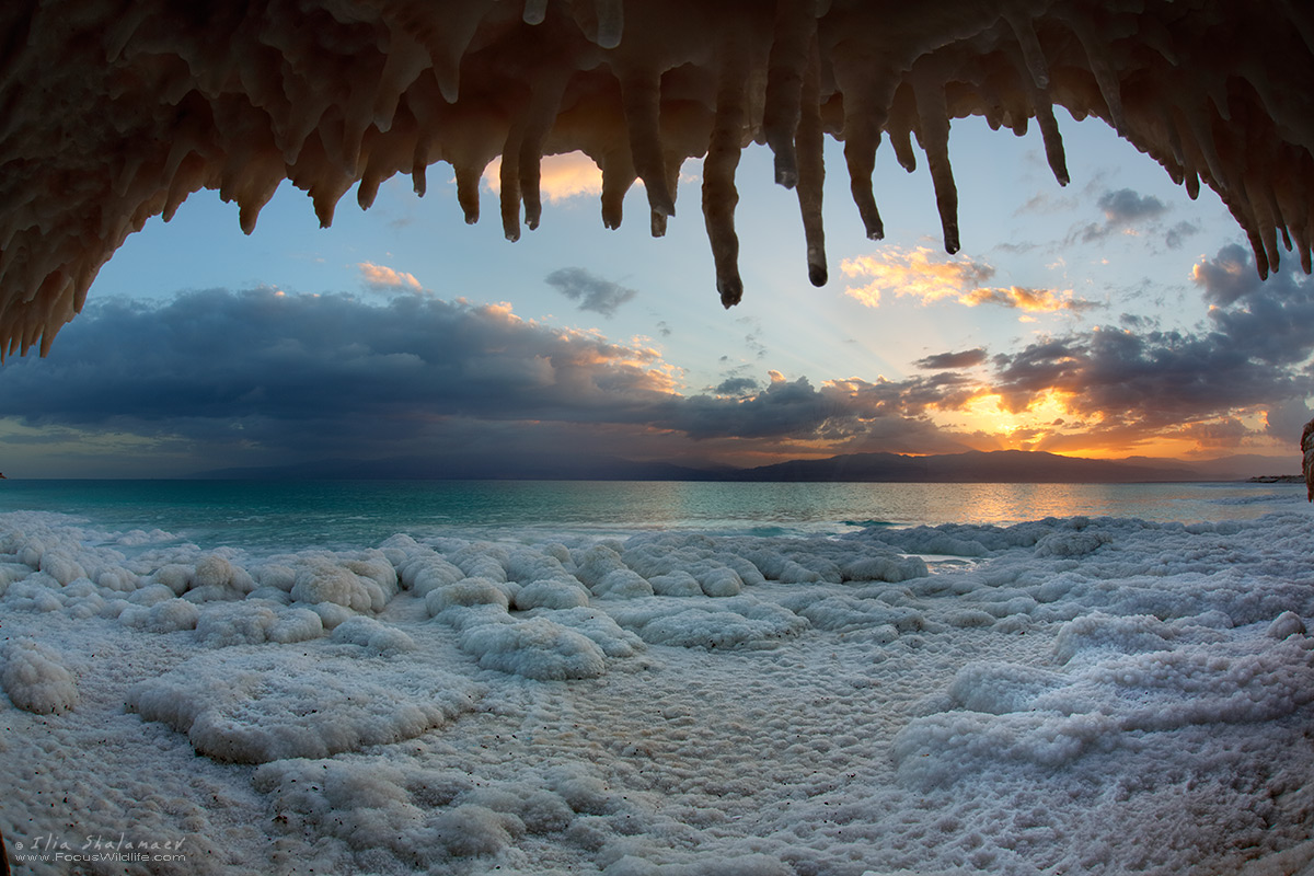Salt Teeth