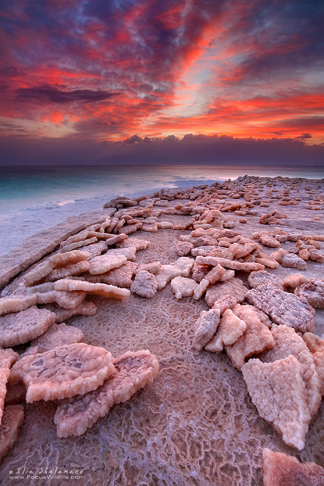 Dead Sea Scenery Series