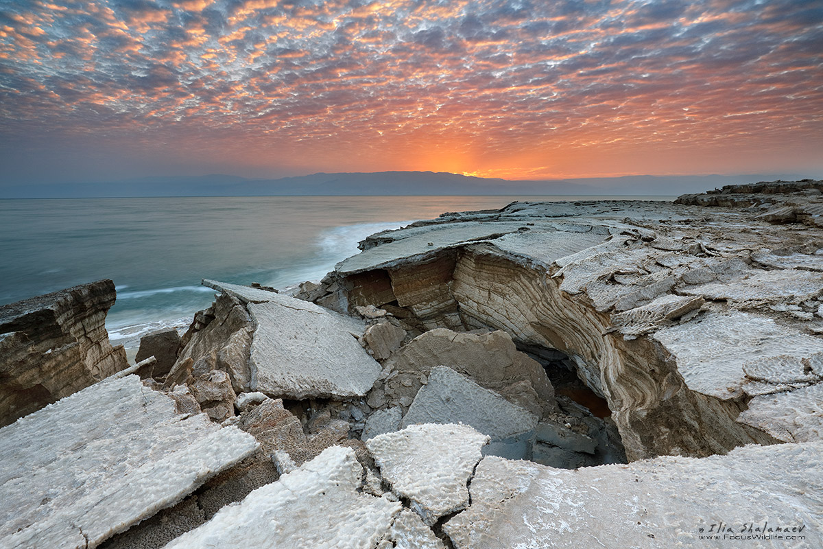 Landscape083