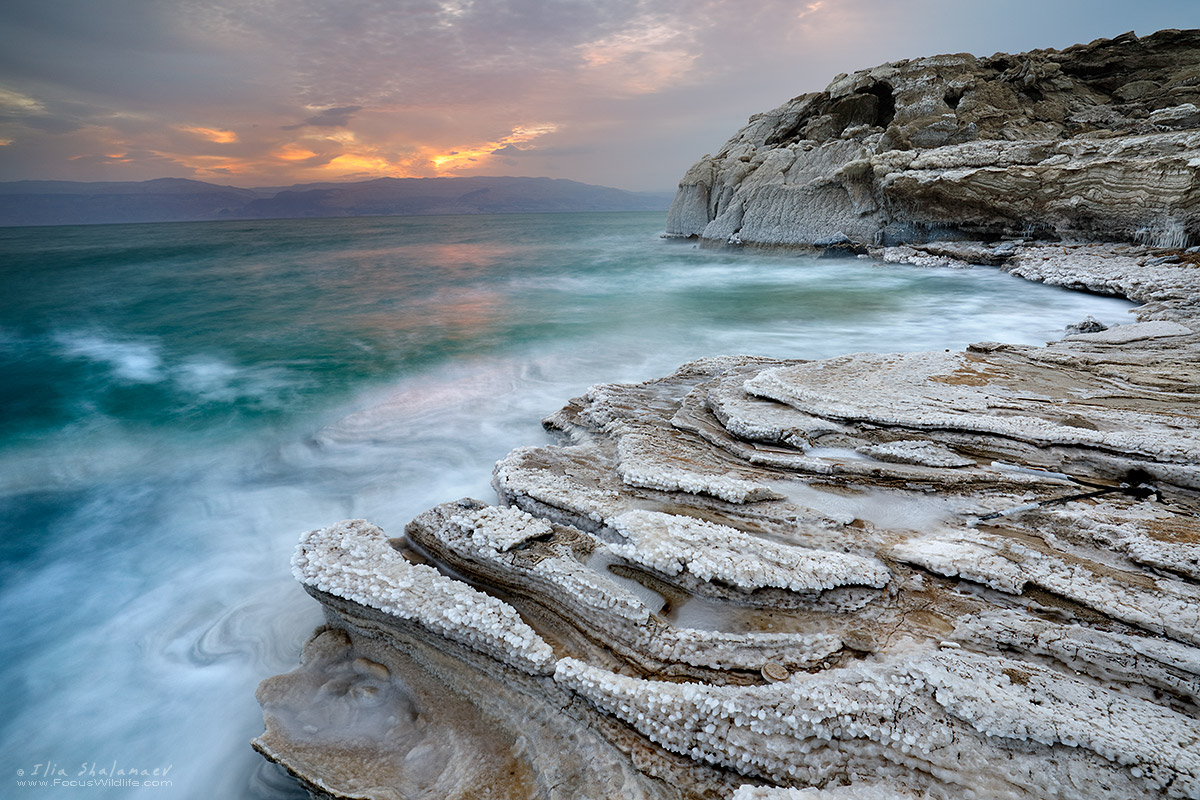 Landscape101