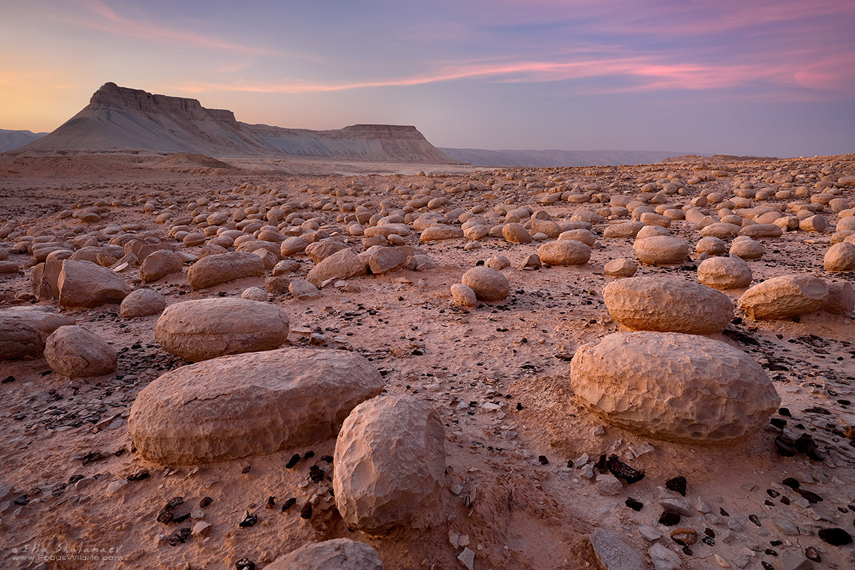 Bulbus Rocks Field