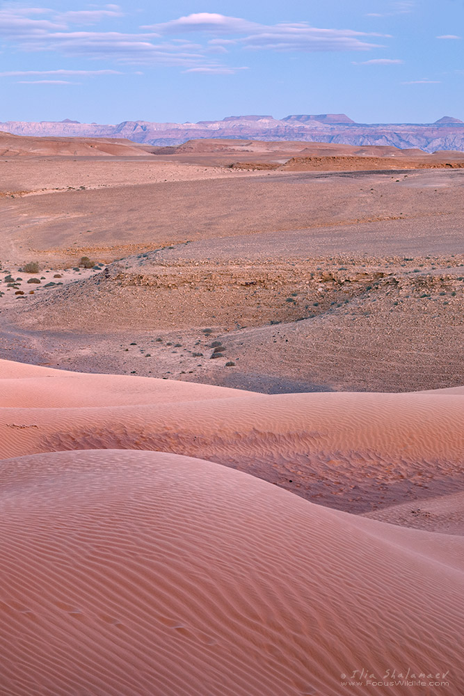 Dune and ripples