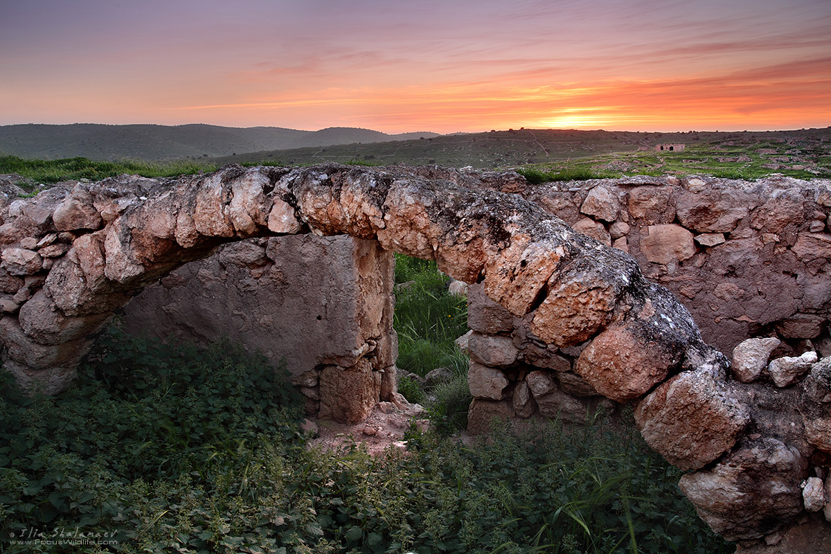 Ruins of deserted settlement