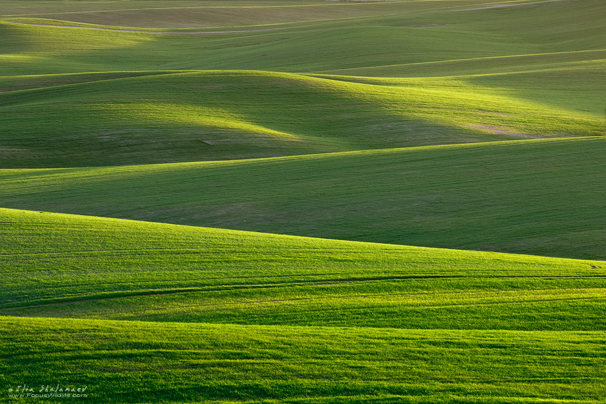 Landscape047