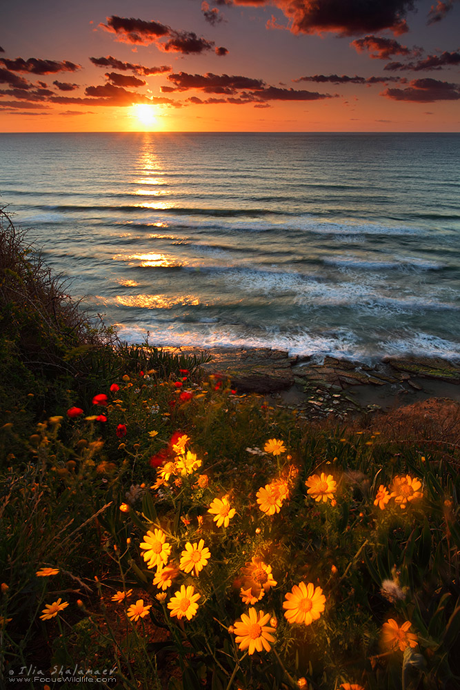 Sunsets of Mediterranean Series