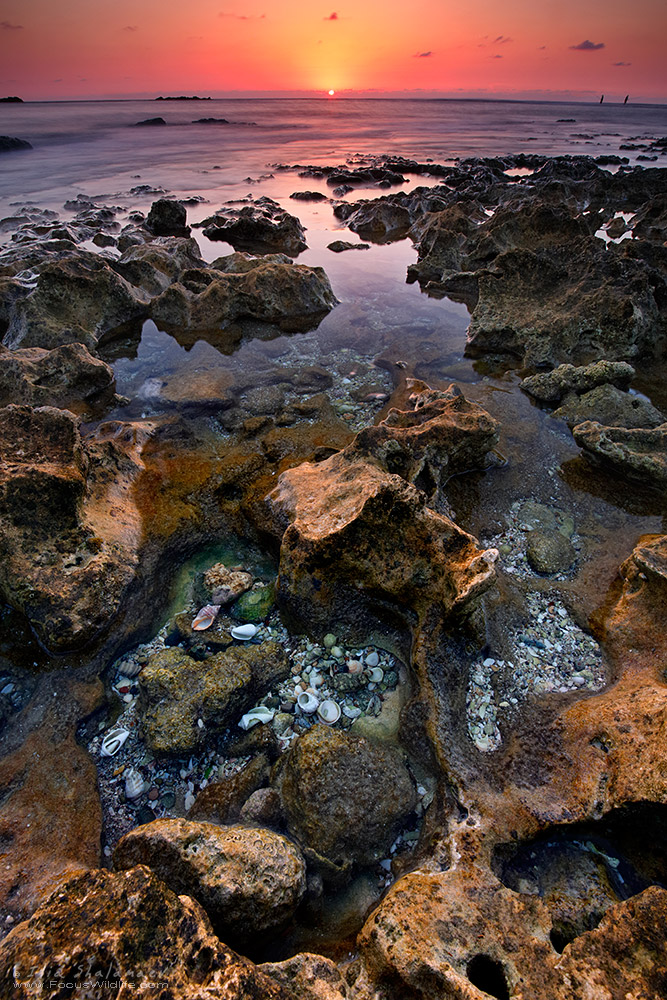 Mediterranean Coastline