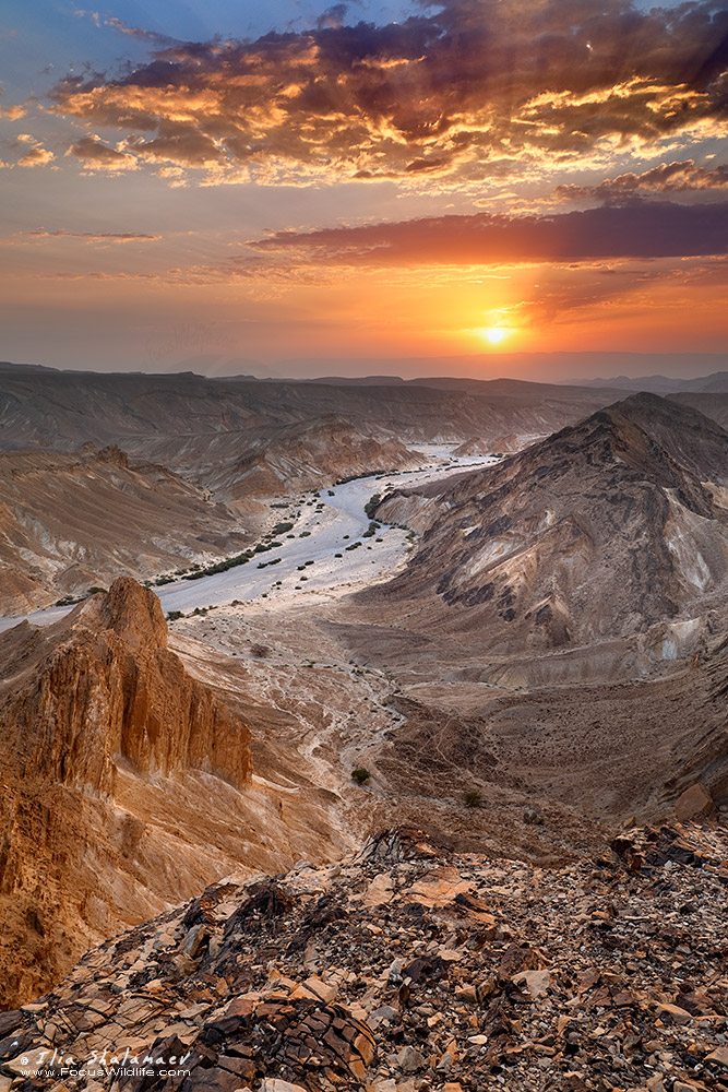 Sunrise over Negev Desert