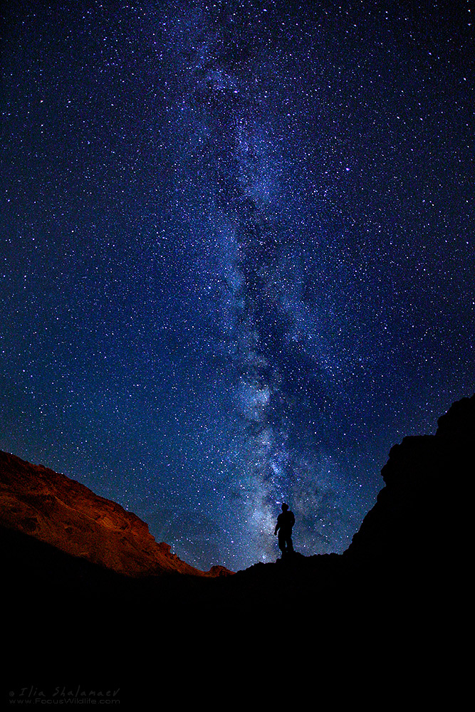 Ceiling Of Stars