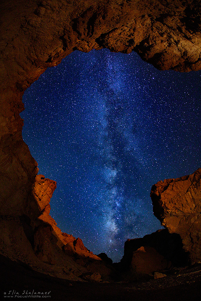 Ceiling Of Stars