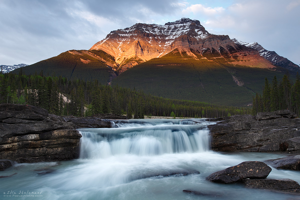 Athabasca River Rapids