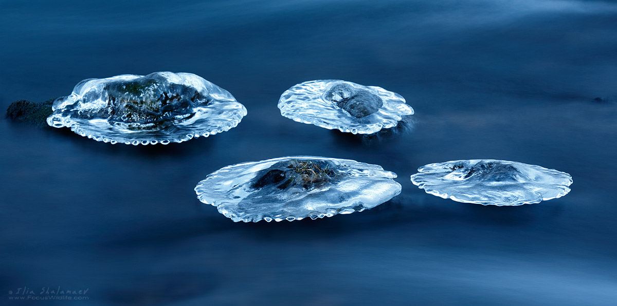 Ice Mushrooms