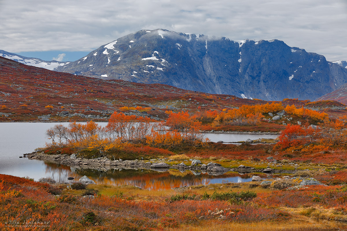 Norway Highland Fall Scene