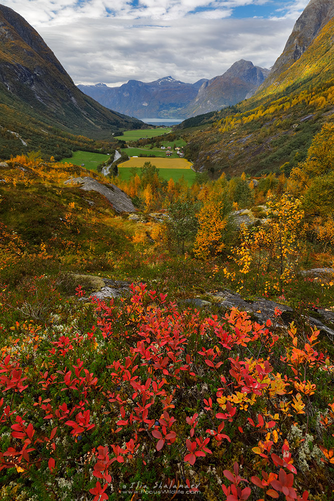 Norway Fall Scene