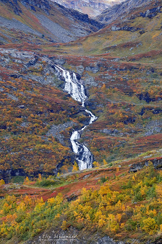 Norway Fall