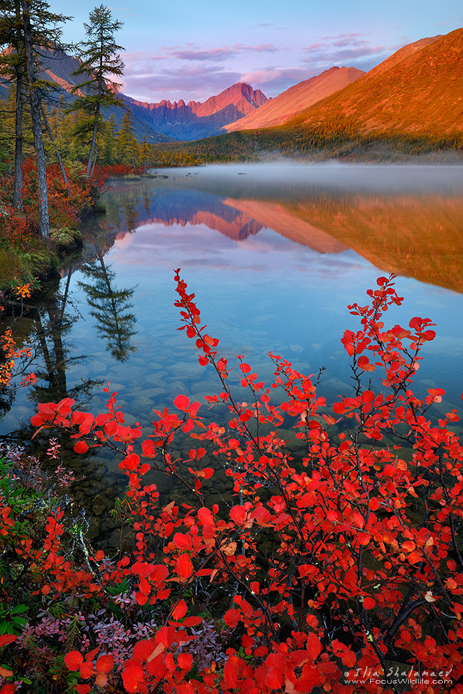 Insane Colors of Siberian Fall