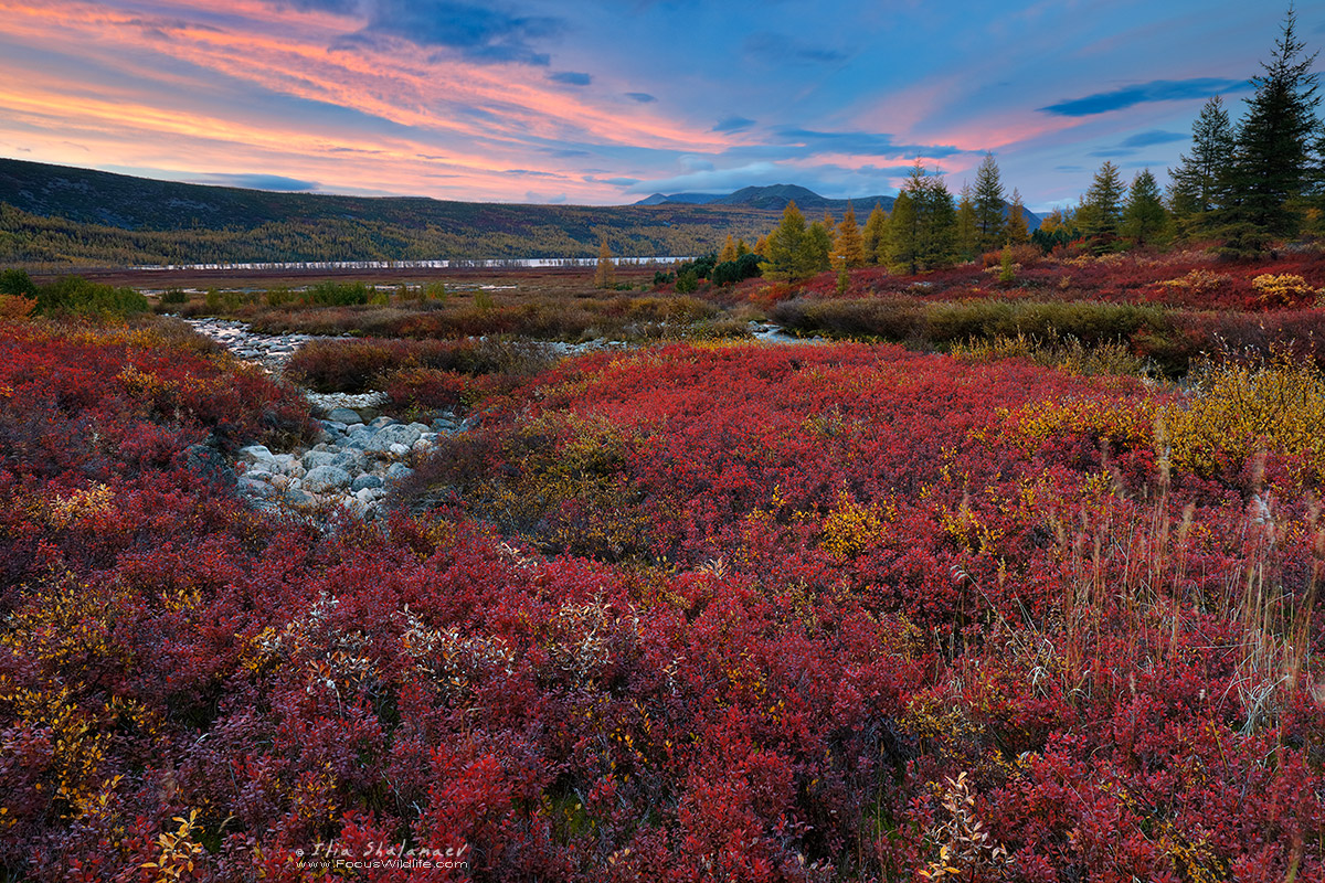 Jack London Lake Sunset