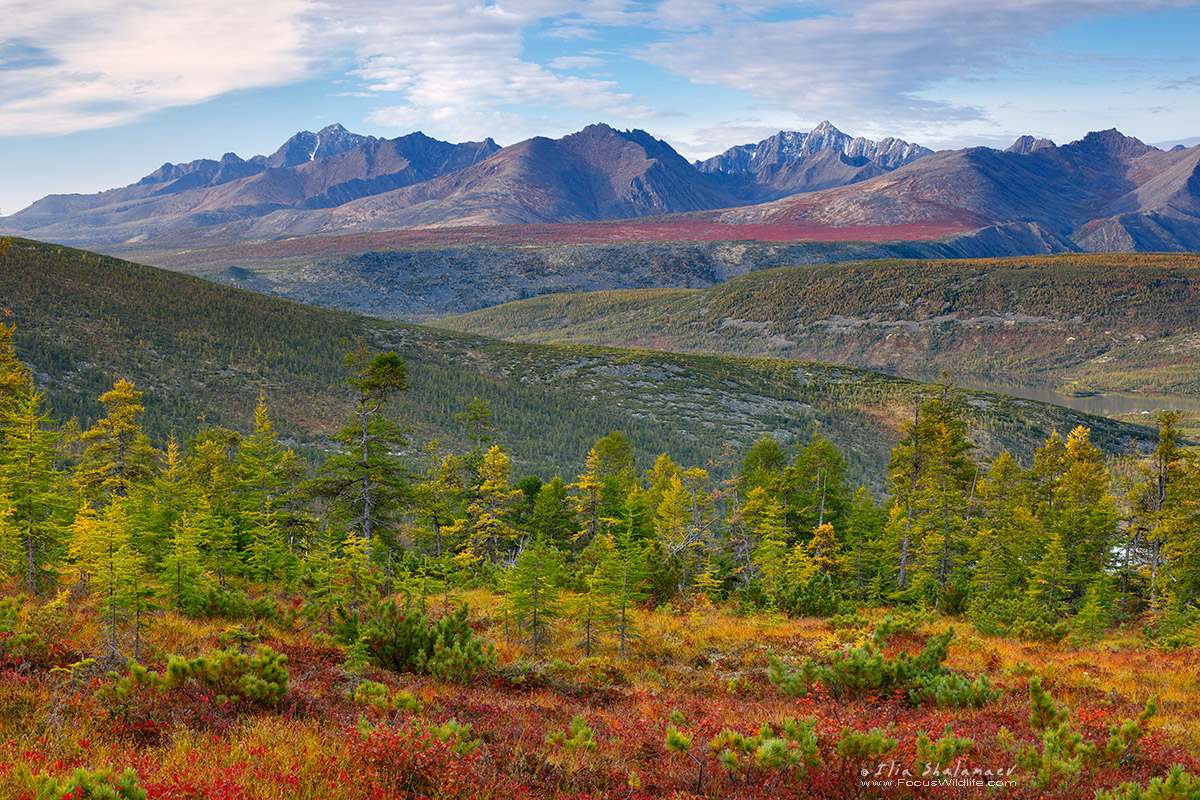 Siberia_Kolyma_22