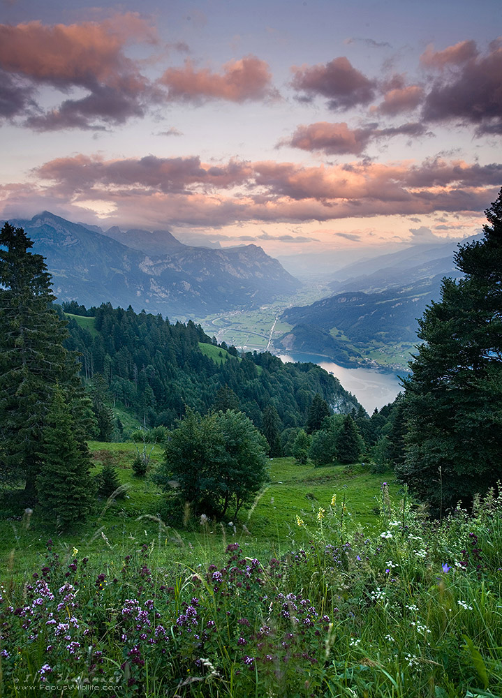 Alpine Scenery