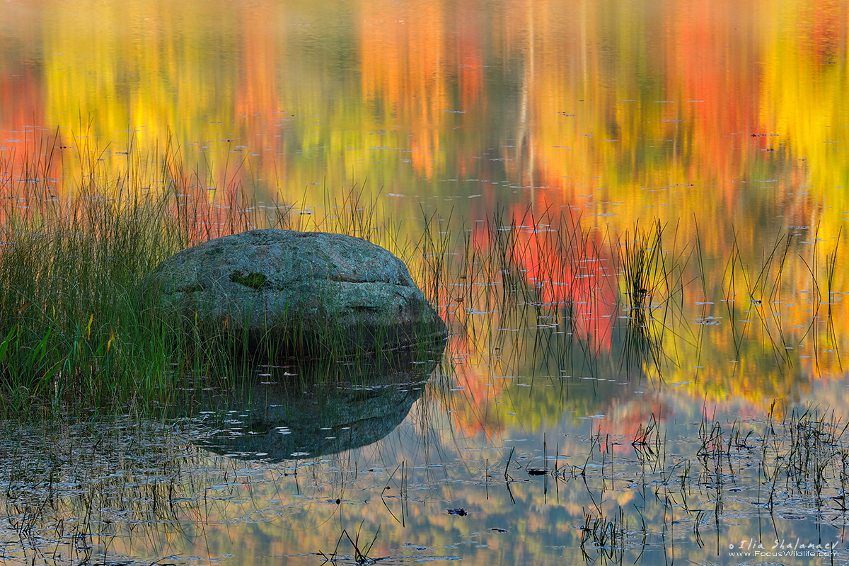 Adirondack Autumn