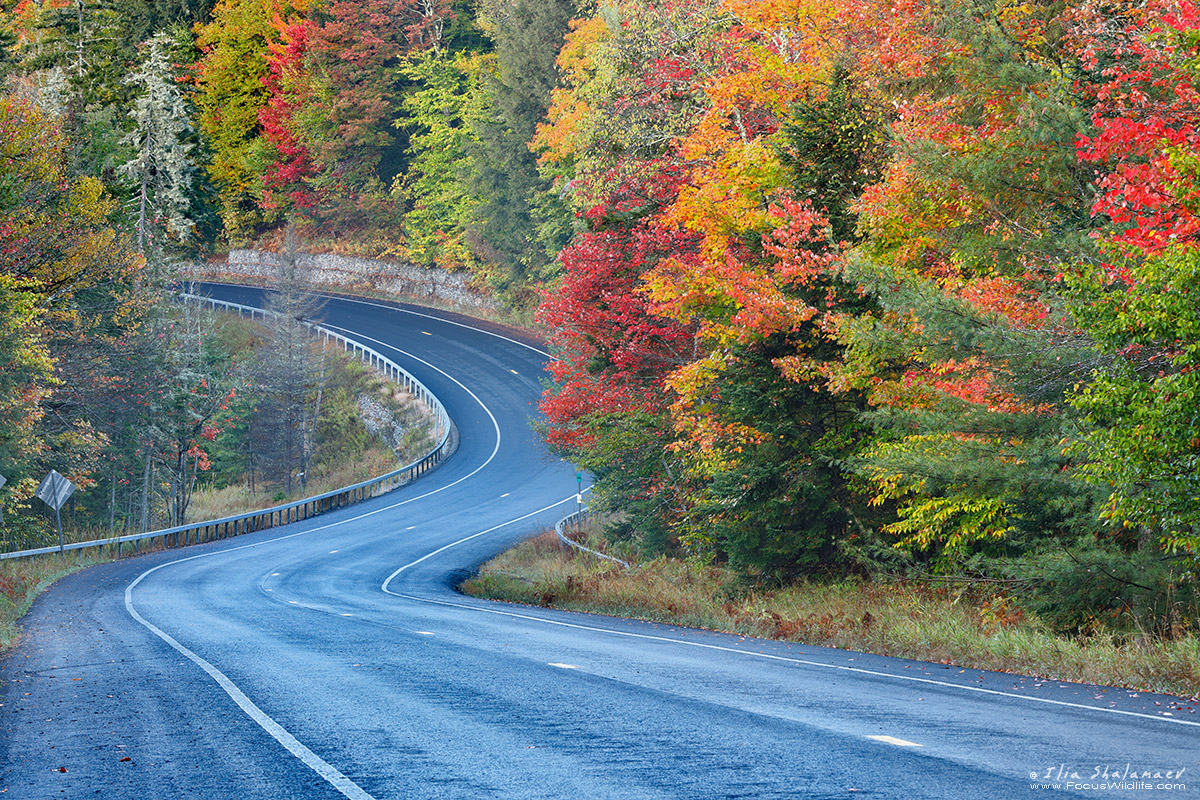 Adirondack Autumn