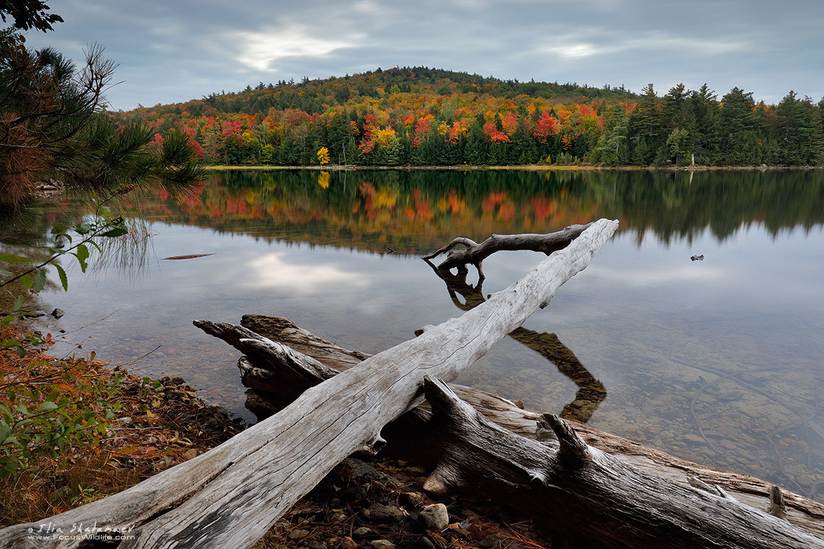 Jabe Pond - Adirondack