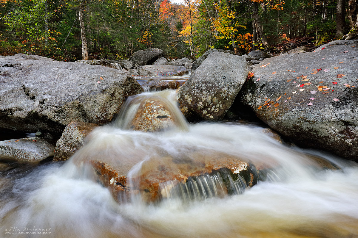 Cascade Brook