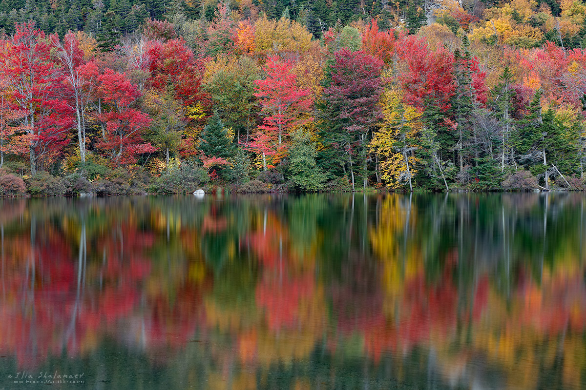 Autumn Reflections Series